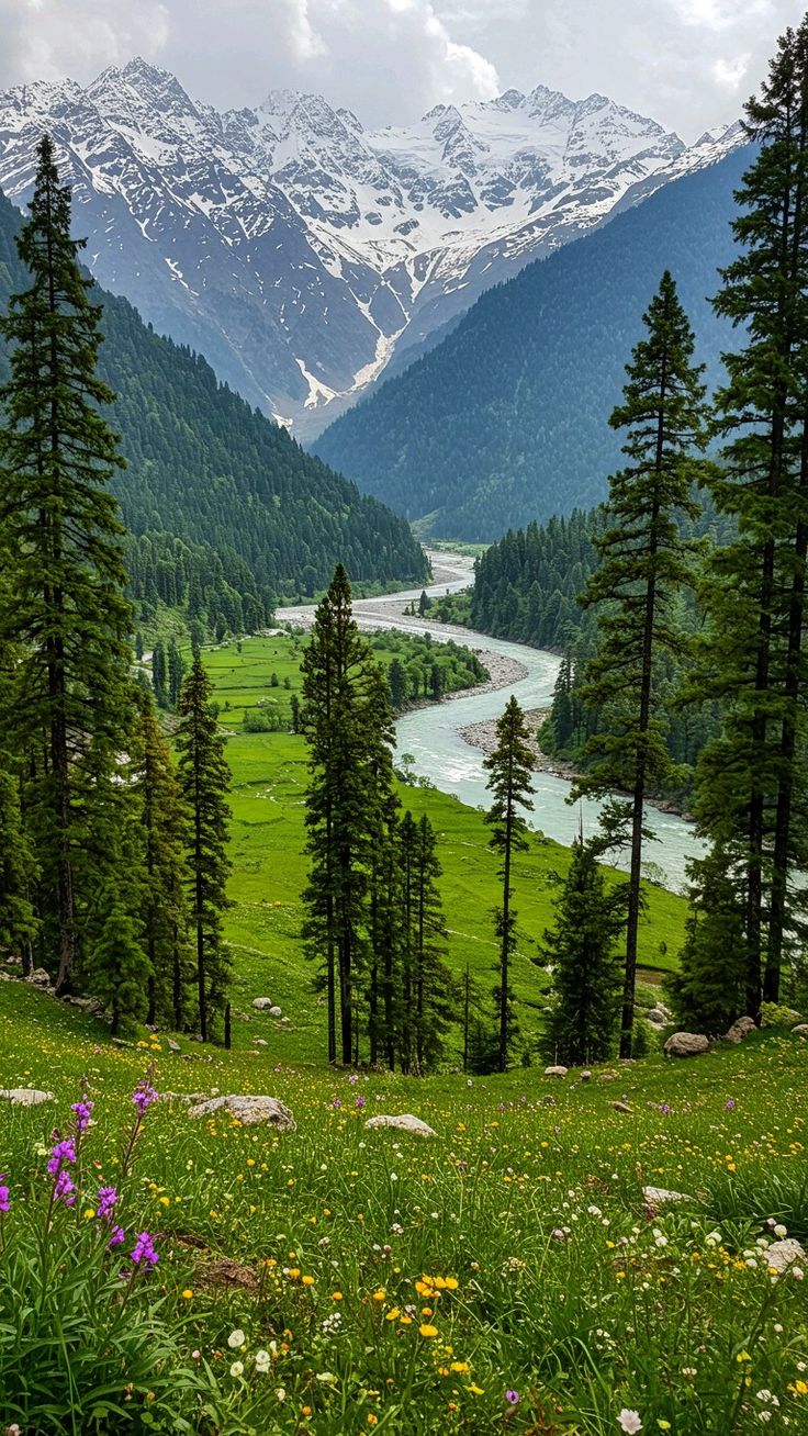 Kashmir
